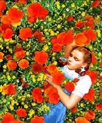 Maybe you would like to learn more about one of these? Wizard Of Oz Paint By Numbers Numpaint Paint By Numbers
