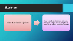 Nota Ringkas Sains Tingkatan 4 Multifilesstorage