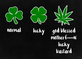 28 hilarious moments from 'black twitter'. Weed Leaf Funny Stoner Poster By Eddie Balevo Displate