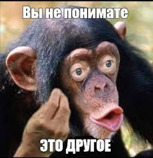 Публикация #5297 — Вероника Степанова (@veronikastepanova20011)