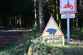 La sortie de chasse vire au drame : un promeneur tué par un chasseur — La Montagne