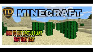 When placing a cactus block on top of a sand block, it will grow up to 3 additional blocks on top over time. How To Cut Cactus Plant Fast Very Easy In Minecraft The Dark Gamer Youtube