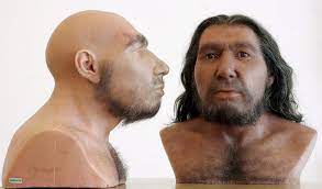 L'uomo di neanderthal ha sofferto per lungo tempo di una cattiva reputazione e continua a evocare una serie di luoghi comuni. I Toscani Sono I Piu Simili All Uomo Di Neanderthal