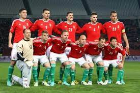 Hungarian National Soccer Team Soccer Team Soccer Players Hungary