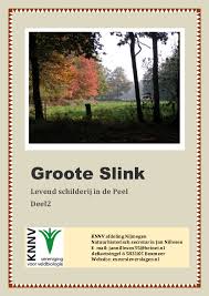 Wanneer je venray bezoekt maak je een denkbeeldige reis naar het verleden. Pdf Groote Slink Levend Schilderij In De Peel Deel2 Jan Nillesen Academia Edu