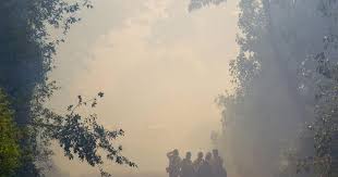 Four new state laws underscore a renewed focus