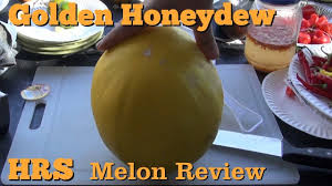 Check spelling or type a new query. Golden Honeydew Melon Cucumis Melo Melon Review Youtube
