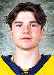 Player photos for the 2018-19 Shawinigan Cataractes at hockeydb.com