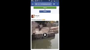 Buka facebook dan temukan video yang ingin kamu unduh. Cara Download Video Facebook Tanpa Aplikasi Di Hp Android Youtube