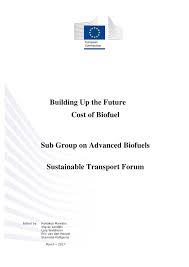 Pdf Building Up The Future Cost Of Biofuel