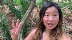 3 Questions To Ask Your Ayahuasca or Plant Medicine Provider