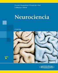 Neurociencia 5 Ed Purves Neurociencia Psicobiologia Libros De Psicologia
