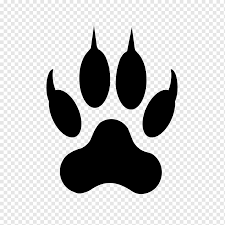 Thousands of new png image resources are added every day. Lowe Fussabdruck Liger Pfote Pfotenabdrucke Tiere Grosse Katze Schwarz Png Pngwing