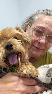 Loss of a beloved pet due to congestive heart failure