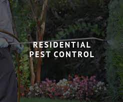 Description:pest control services and mold testing and remediation. Brunson Pest Control Need To Get Rid Of Any Pest Call Today