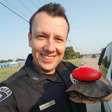 THE The Rockmolly's come to azle