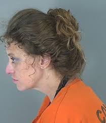 CANNADY, WAYNE CHARLTON Arrest Date: 02/13/2025 00:00 Offenses: