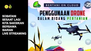 Garam dapat digunakan untuk mengusir hama termasuk wereng yang sering menyerang tanaman padi. Pusat Pelatihan Pertanian Bppsdmp Boc Vol 25 Penggunaan Drone Dalam Bidang Pertanian Facebook