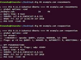 Resolving Domain Names With Dig Command On Linux