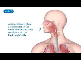 You can mix more than 1 medicine, and they can all be given at the same time. What Is A Nebuliser The Alvita T2000 Nebulizer Youtube