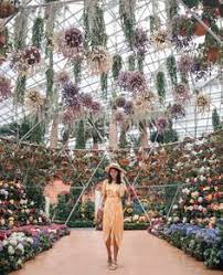 Kaung Satt Thar Kaungsatt - Profile Pinterest