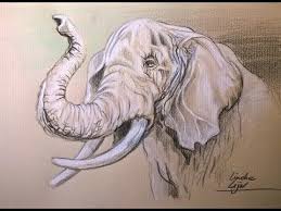Hoe Teken Je Een Olifant Dieren Tekenen 33 Youtube Elephant Drawing Animal Drawings Drawings