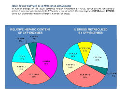 Drug Metabolism