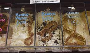Check spelling or type a new query. Exotic Pet Trade Responsible For Hundreds Of Invasive Species Around The Globe