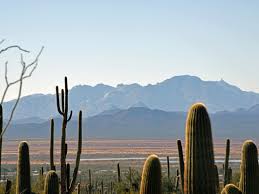 The staff are eager to help and nothing was too much trouble. Insider S Guide To Saguaro National Park