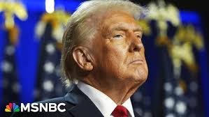 Steffi Lau's Instagram, Twitter & Facebook