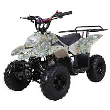 He insisted to get the order over the phones as they are faster to process. Buy The Taotao Ata 110 B1 Kids Atv 110cc For Sale Online