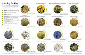 Planting For Play Also Like The Very Simple Graphics Use To Explain The Plants And Their Uses Diy Playground Natural Playground Plants