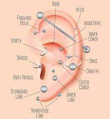 We did not find results for: Majoie Piercer Ear Piercing Chart Picking A Location Facebook