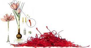 Hydroponic Saffron Grow Saffron Hydroponically Luv2garden Com Hydroponic Growing Hydroponic Farming Hydroponics Diy