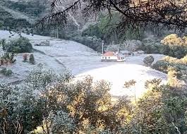 Com a chegada da frente fria no sul e sudeste do brasil, cidades gaúchas tiveram seus cenários transformados na noite de hoje, sendo cobertas de neve. 29fvgiwr8edppm