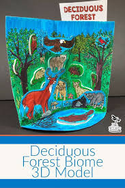 Deciduous Forest Biome Model Did You Know That When Your Students Are Developing And Using Models They Are Engag Deciduous Forest Biome Biomes Project Biomes