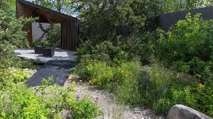 See The Royal Bank Of Canada Garden At Rhs Chelsea Flower Show 2017 Rhs Gardening Chelsea Garden Garden Design Chelsea Flower