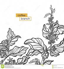 Template Of Black Branch Of Coffee Tree With Leaves And Coffee Beans Stock Vector Illustration Of Cultures Flower 99493524 Seni Konsep Mural Sketsa
