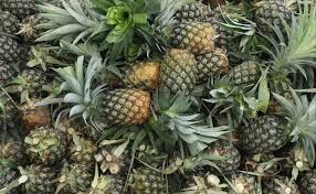 Pineapple