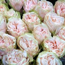 Buy flowers in bulk nyc. An Insider S Look At The New York Flower Market Plant Talk