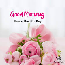 25 good morning wishes images for father; 250 Good Morning Images Pictures Beautiful Morning Wishes 2021