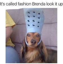 At memesmonkey.com find thousands of memes categorized into thousands of categories. 20 Wholesome Dog Memes That Are Too Pure For This World