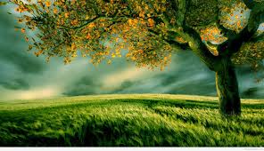 Maybe you would like to learn more about one of these? Wallpaper Name New Nature Love Wallpaper 17 Quotes Nice Nature Wallpapers With Quotes 1920x1107 Wallpaper Teahub Io