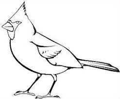 389 41 cardinal bird branches. Cardinal Clipart Black And White Google Search Bird Coloring Pages Sketch Drawing Images Clip Art