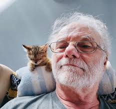 Angels rescued two little gray kittens