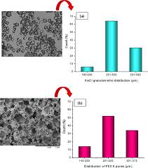 Peek Physical Surface Modification Evaluation Of Particles