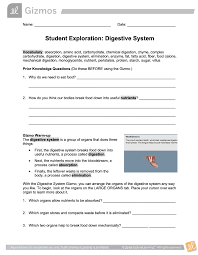 A digestive system is a group of organs consisting of the central gastrointestinal (gi) tract and its associated accessory organs that break down food into smaller how does the digestive system work? Student Exploration Digestive System Answers Thinkwinux Student Exploration Digestive System Answers Design A Powerpoint Presentation About The Digestive System Design System Examples A Definition Of The Digestive Tract Which Includes The