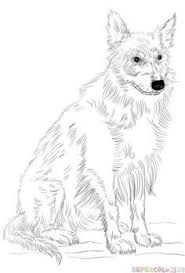 Black And White Collie Dog Drawing How To Draw A Border Collie Step By Step Drawing Tutorials For Kids And Beginners Border Collie Art Drawing Tutorial Border Collie