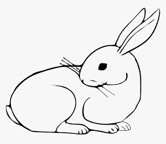 Try to search more transparent images related to bunny easter png |. Rabbits Drawing Easter Bunny Transparent Png Clipart Bunny Clipart Black And White Transparent Png Download Transparent Png Image Pngitem