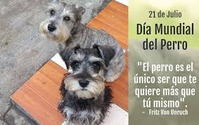 En 2004, el gobierno del perú creó una de las áreas de conservación más grandes en el mundo, el parque nacional alto purús, con una extensión comparable al tamaño de bélgica. 21 De Julio Dia Mundial Del Perro Los Diario El Chaski Facebook